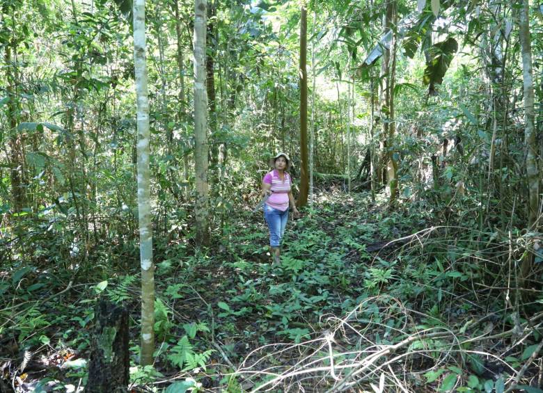 Blanca Mariela Yepes es una de las líderes del proyecto que busca cuidar el bosque en Guaviare. FOTO cortesía