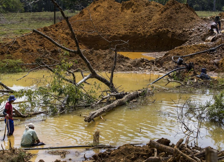 Minería ilegal, proterización y deforestación arrasan selvas del continente.