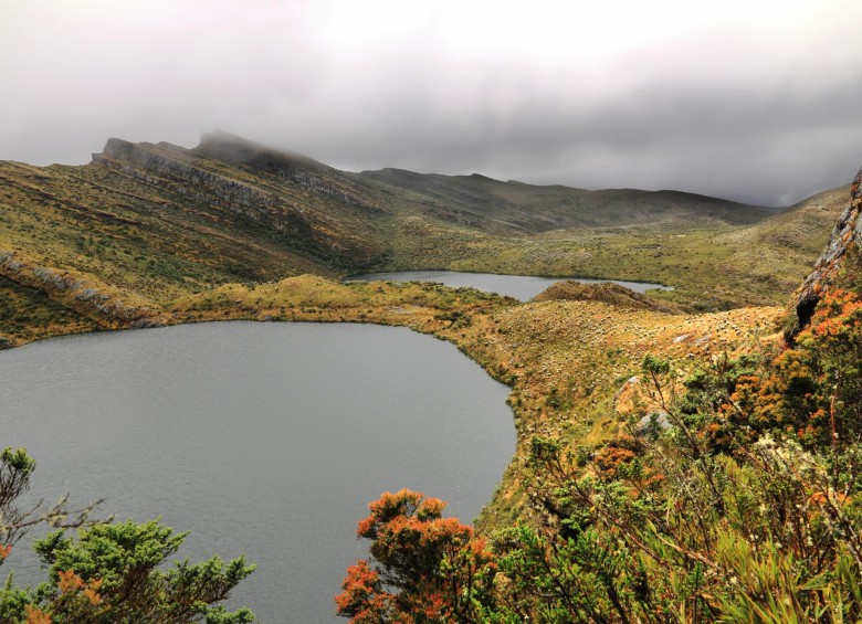 Vista panorámica de la Laguna de Siecha, que hace parte del Parque Nacional Natural Chingaza. El parque está ubicado en la Cordillera Oriental de los Andes, en el noreste de Bogotá, y lo conforman siete municipios de Cundinamarca y cuatro del Meta. FOTO SHUTTERSTOCK
