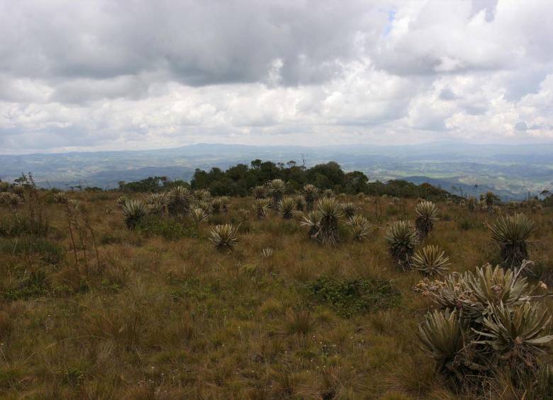 Al páramo de Belmira se recomienda ir equipado para el frío. FOTO Archivo 