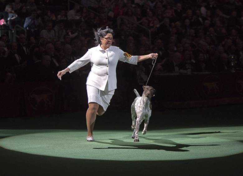 En su categoría de perros deportivos CJ fue ganador. FOTO AP
