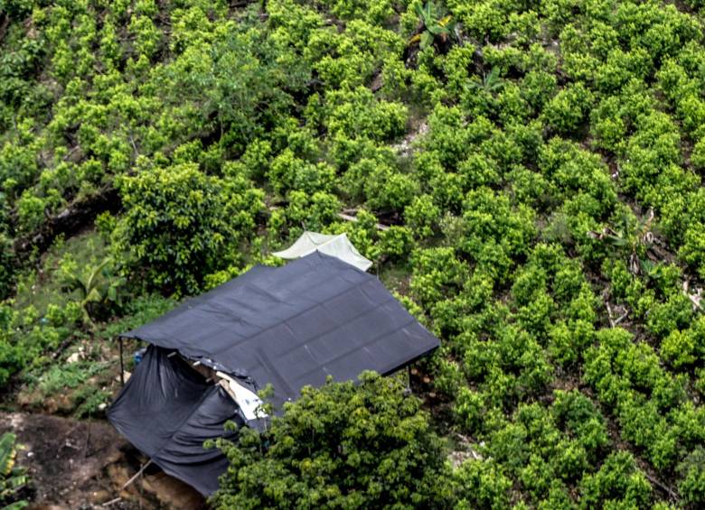 Pese a la lucha contra el narcotráfico, los capos en Colombia se transforman. FOTO: Colprensa