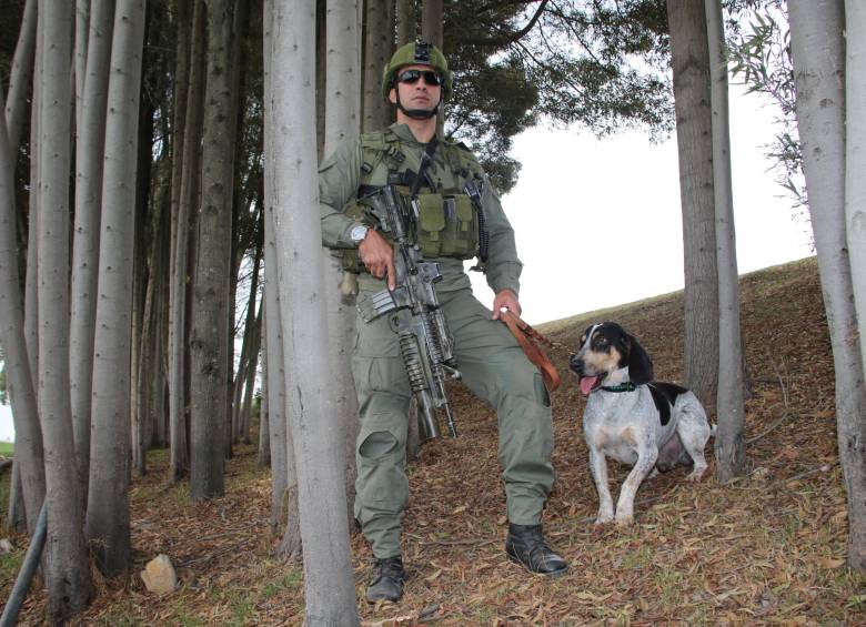 Chapolo pasó de ser el perro mimado de “Otoniel”, a ser vital para la Policía. FOTO Policía Nacional