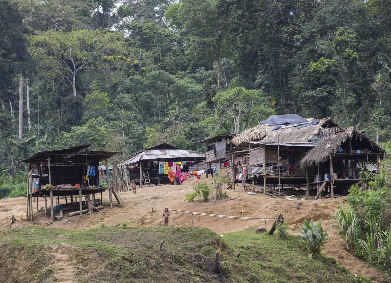 Comunidad indígena Embera en el Alto Baudó, Chocó. FOTO DONALDO ZULUAGA 