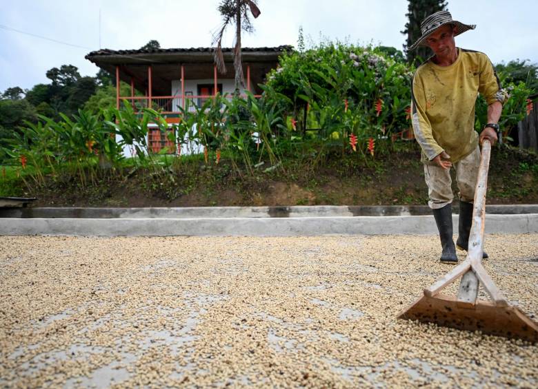 Las estrategias de los productores de café para evitar la ruina