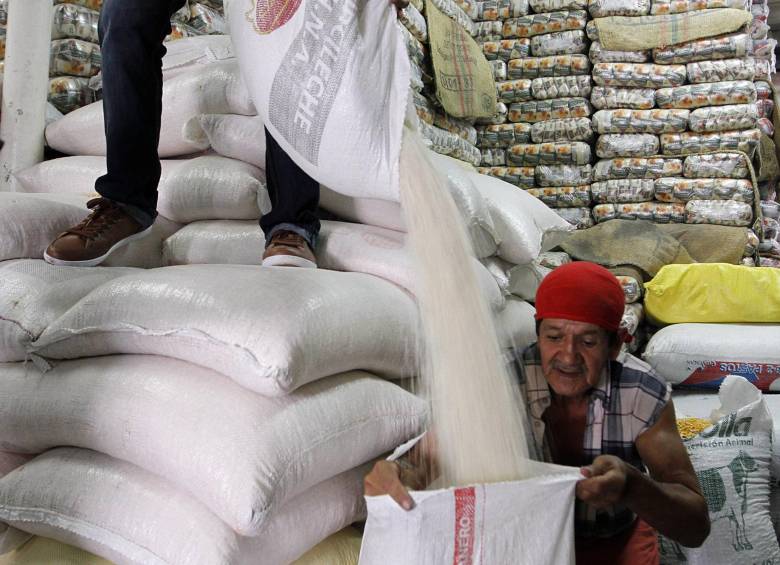 Los comerciantes de arroz en Antioquia advierten que traer arroz de otros países distintos a Estados Unidos, seguramente concentrará las importaciones en pocas empresas. FOTO donaldo zuluaga