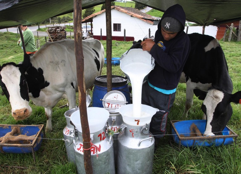 Esquemas asociativos como el de los productores lecheros se pueden replicar en diferentes subsectores. FOTO rÓBINSON SÁENZ 