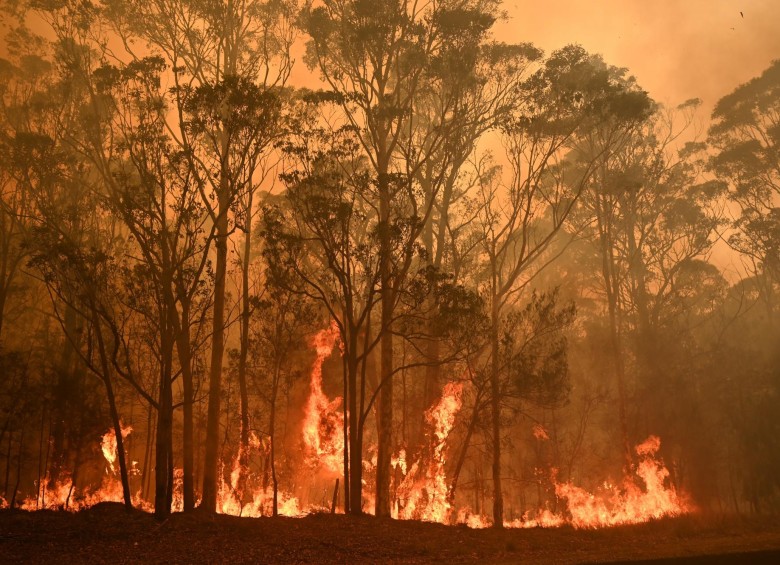 En el sudeste de Australia, la región más poblada, se declaró el estado de emergencia. FOTO AFP