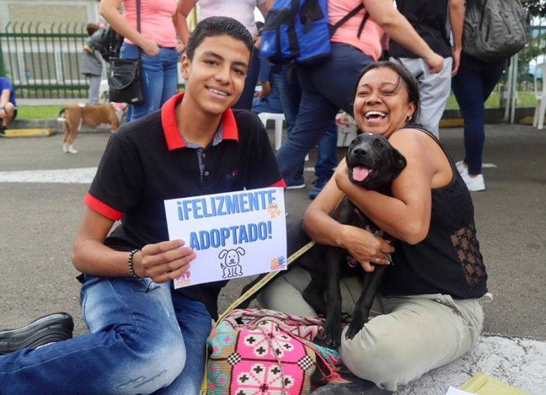 Hasta esta hora 40 gatos y perros se han entregado a familias. Foto: Guardianes Antioquia
