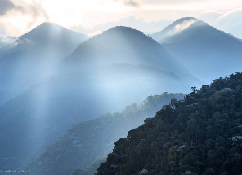 El Santuario Otún Quimbaya está ubicado a solo 16 kilómetros de Pereira. FOTO Cortesía Parques Nacionales