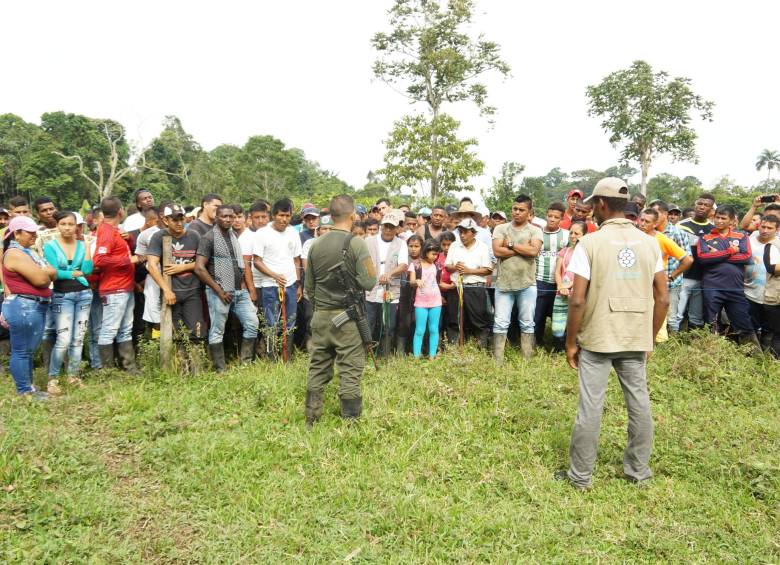 Hace una semana cultivadores de coca han hecho cadenas humanas en Tumaco para proteger cultivos. FOTO cortesía winston viracachá