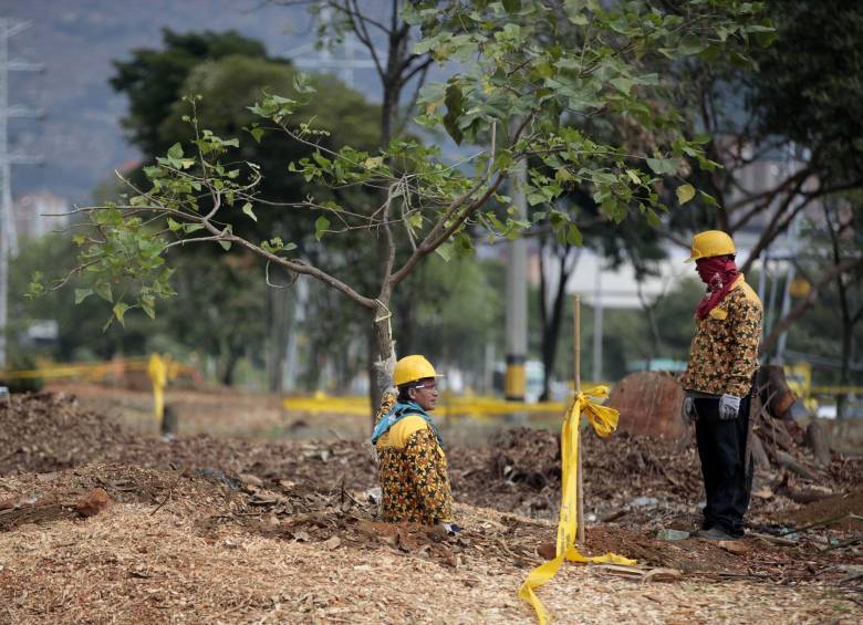 La tala árboles en Conquistadores fue socializada con la comunidad. FOTO manuel saldarriaga