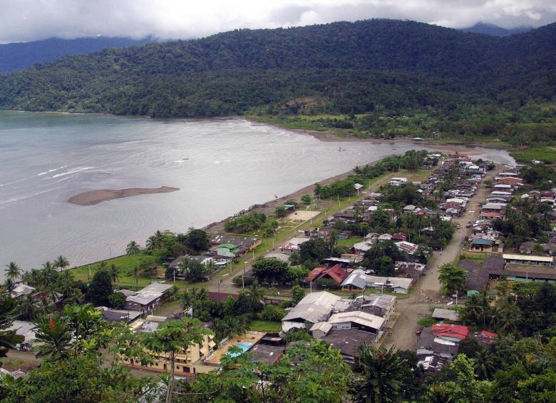 La pesca de la coca, el drama de la olvidada Bahía Solano