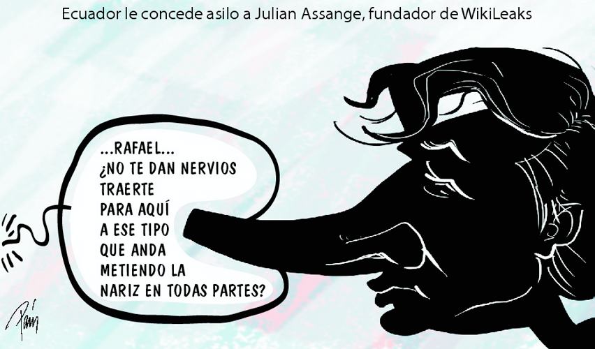 InfogrÃ¡fico