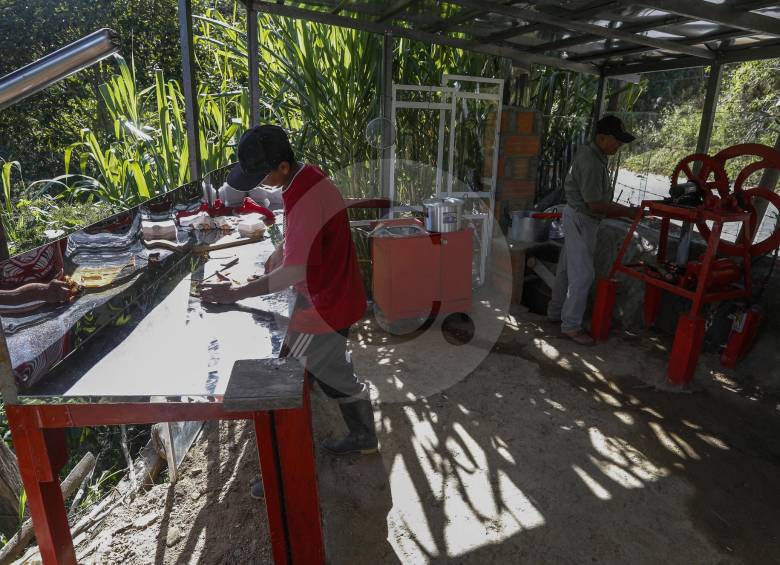 Duván Loaiza y Luis Antonio Romero terminan de organizar el lugar para la inauguración del trapiche que será el próximo domingo 29 de julio. Esta iniciativa generará empleo a los habitantes de la zona. FOTO MANUEL SALDARRIAGA 
