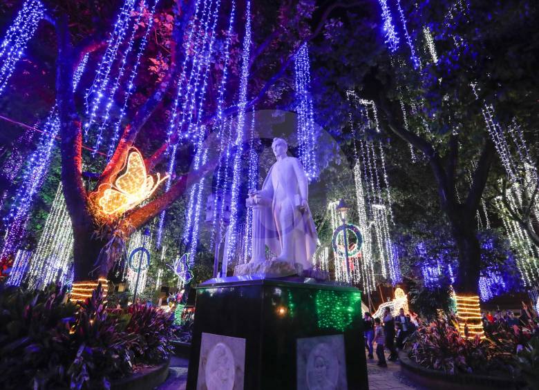 De los frondosos árboles se desprenden tiras de bombillas de colores.