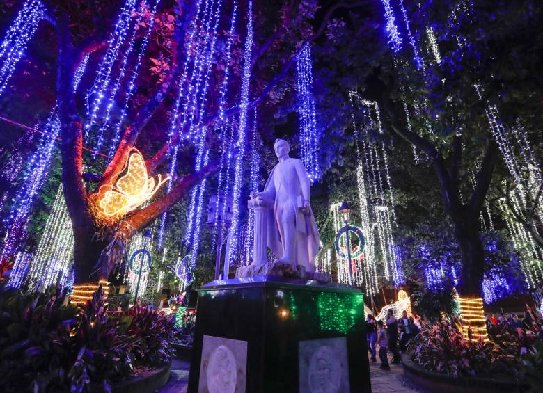 De los frondosos árboles se desprenden tiras de bombillas de colores.