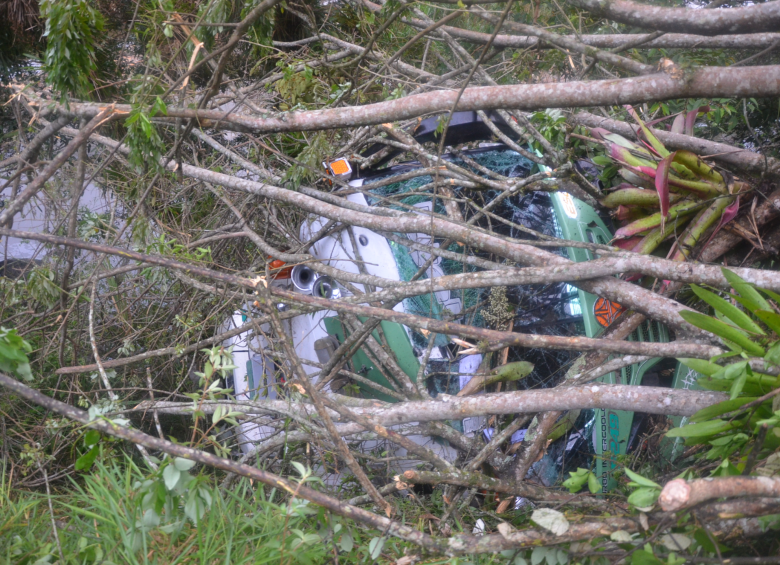 El bus de turismo, que regresaba a Medellín, se precipitó a un abismo al salir de la carretera. FOTO cortesía guillermo naranjo
