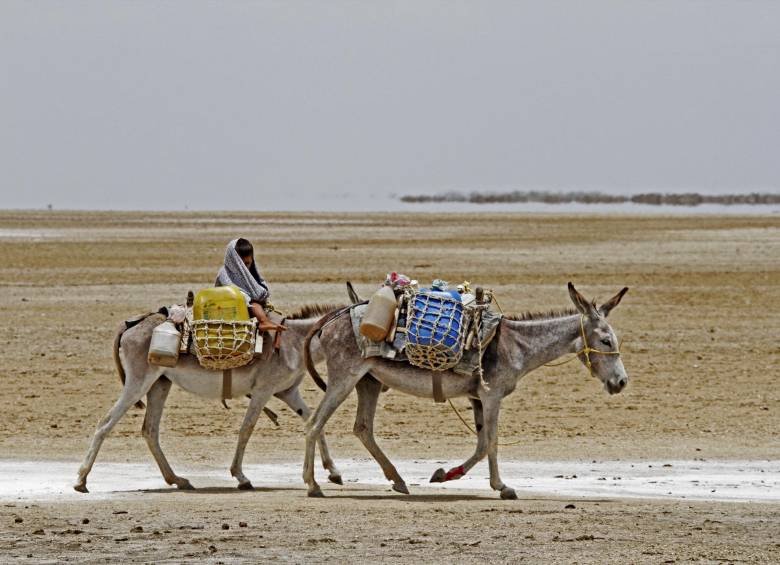 Panorama de la sequía en La Guajira. FOTO Donaldo Zuluaga 