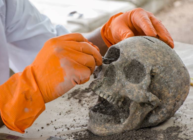 Los restos óseos pertenecen principalmente a cuatro líneas familiares que habitaron el área durante diez siglos.