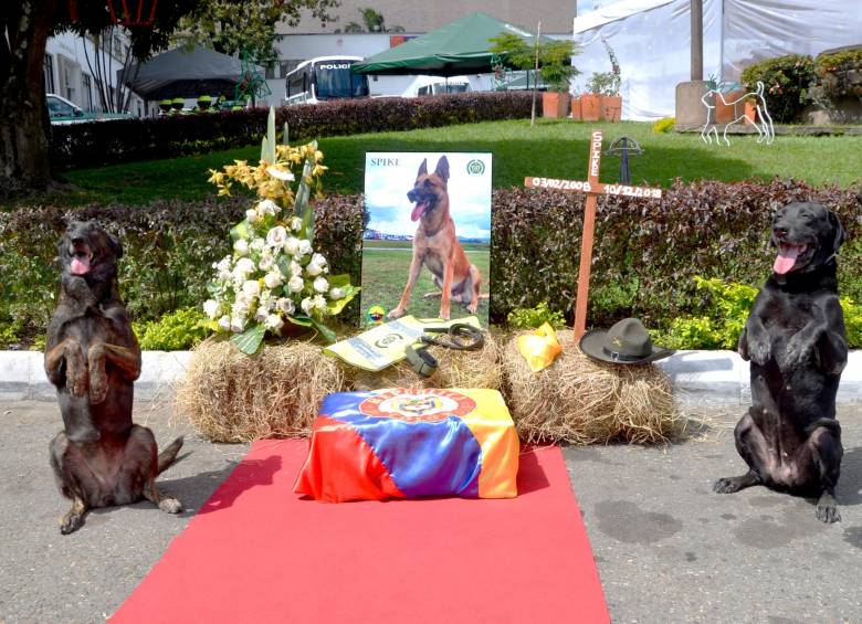 Así fue el altar que los uniformados dispusieron para Spike, en el Comando de Policía Antioquia, ubicado en Medellín. FOTOS: cortesía de Policía Antioquia.