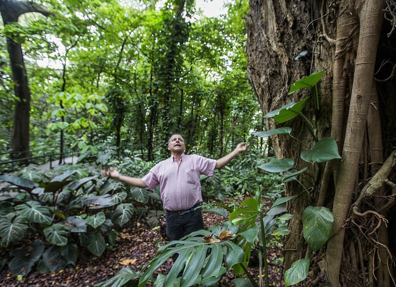 Pacho Salazar, el sanador de árboles