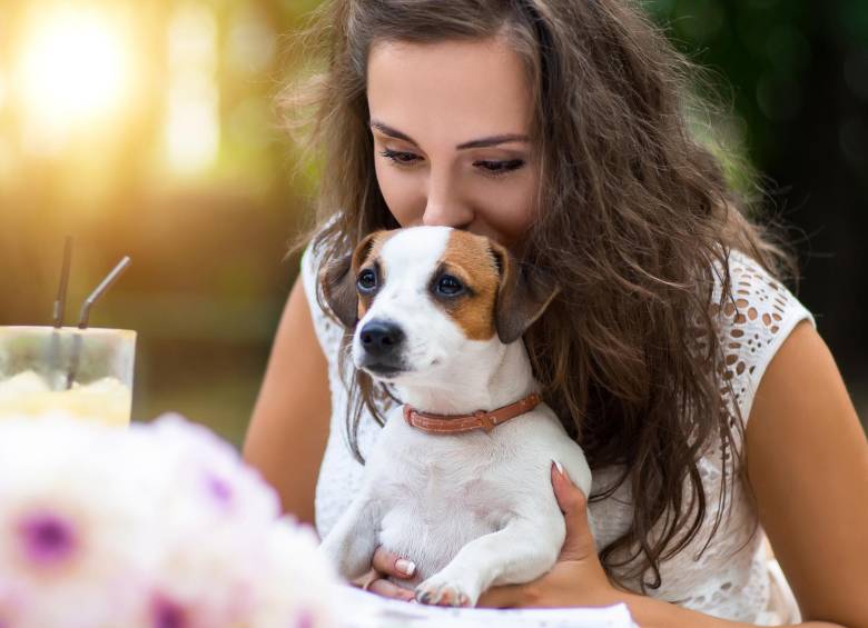 Ya hay en la ciudad sitios Pet Friendly. FOTO Shuterstock