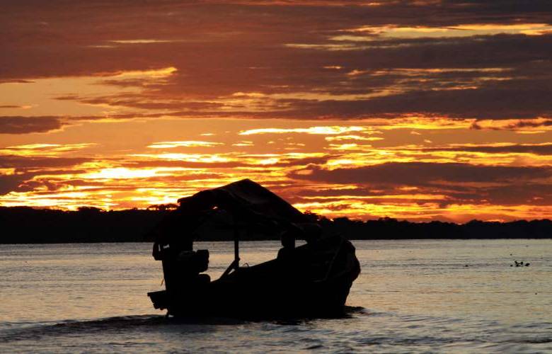 Hernán Vanegas - Partiendo en una canoa por un río afluente del Amazonas, se adentran los aventureros hasta cierto punto donde desembarcan, caminan unos 500 metros por entre la selva y llegan a donde están dos colosos: son dos grandes ceibas o árboles del saber, según los ticuna.