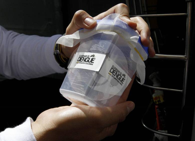 En Bello se realiza una prueba piloto para inhibir la producción de zancudos. FOTO Donaldo Zuluaga