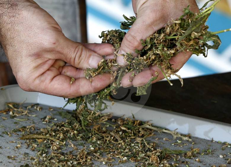 El sector de productos fitoterapéuticos espera crecer su producción y la generación de empleos directos e indirectos con la nueva normativa para el acceso a plantas medicinales. FOTO Jaime Pérez
