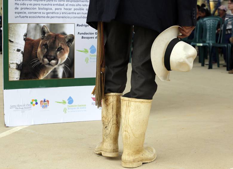 La participación del campesino será fundamental para proteger al puma. FOTO henry agudelo