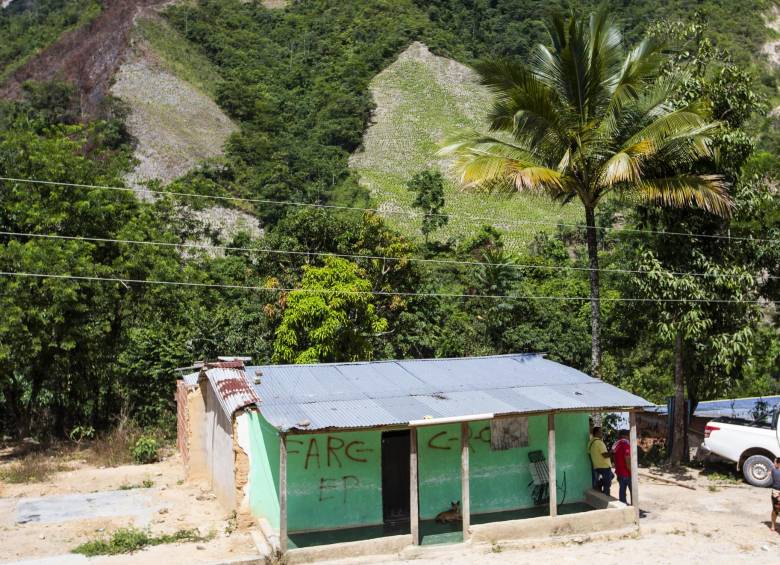 Campo alegre es donde residía el excombatiente Dimar Torres. La coca (fondo) es la principal economía. FOTO Julio César Herrera