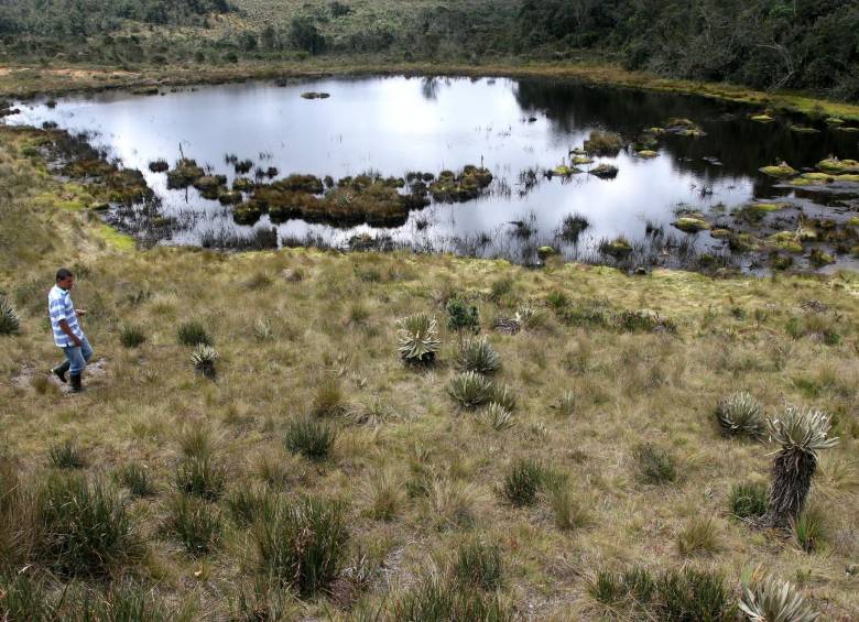 Parque Central de Antioquia comprende un área de 894.555 hectáreas en 50 municipios. FOTO donaldo zuluaga