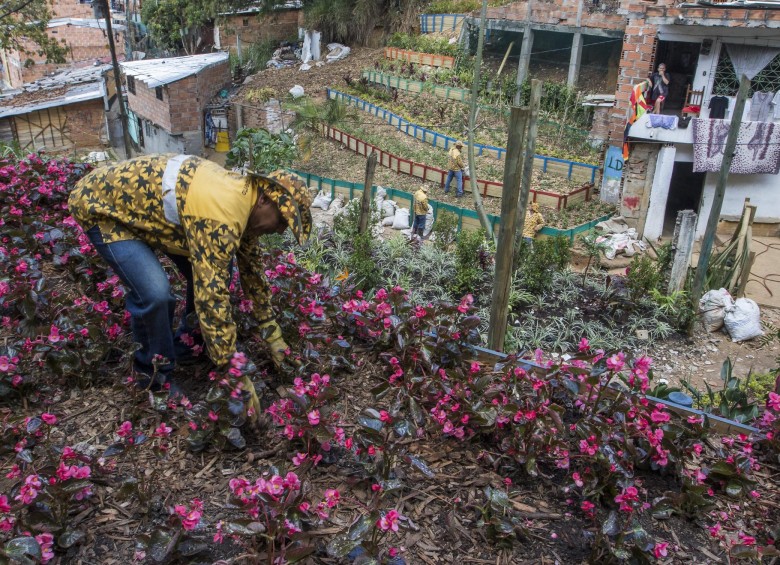 Medellín transformó 135 basureros en jardines