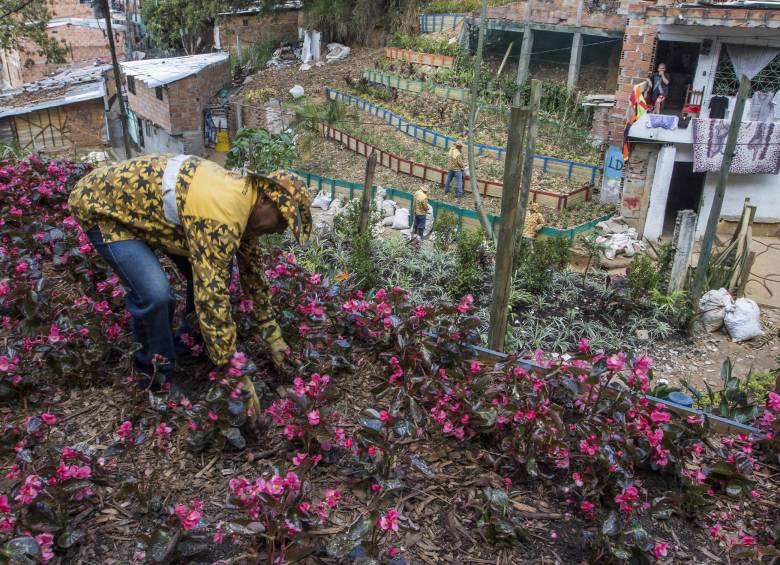 Medellín transformó 135 basureros en jardines