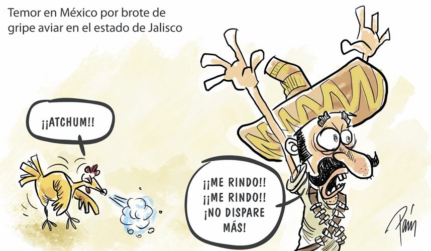 InfogrÃ¡fico