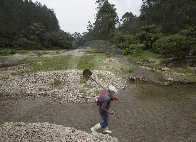 La declaratoria de Área Protegida de Reserva Forestal Protectora permitirá conservar un territorio de 1.622 hectáreas de gran riqueza ecológica y ambiental para Antioquia. FOTO Manuel Saldarriaga