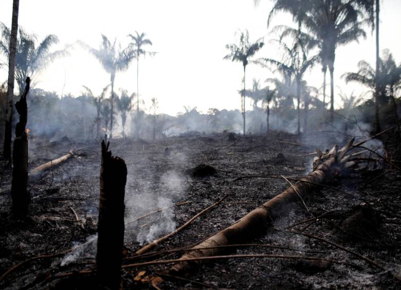 Incendios amazónicos encienden resistencia ambientalista 