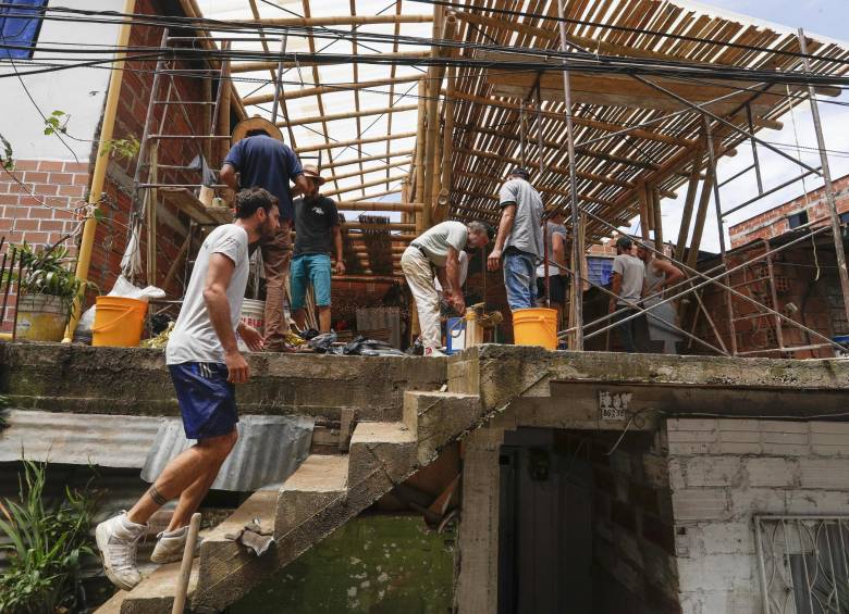 Arquitectos bioconstructores alemanes eligieron la guadua quindiana para la construcción del aula ambiental por su costo, versatilidad y resistencia. FOTO MANUEL SALDARRIAGA