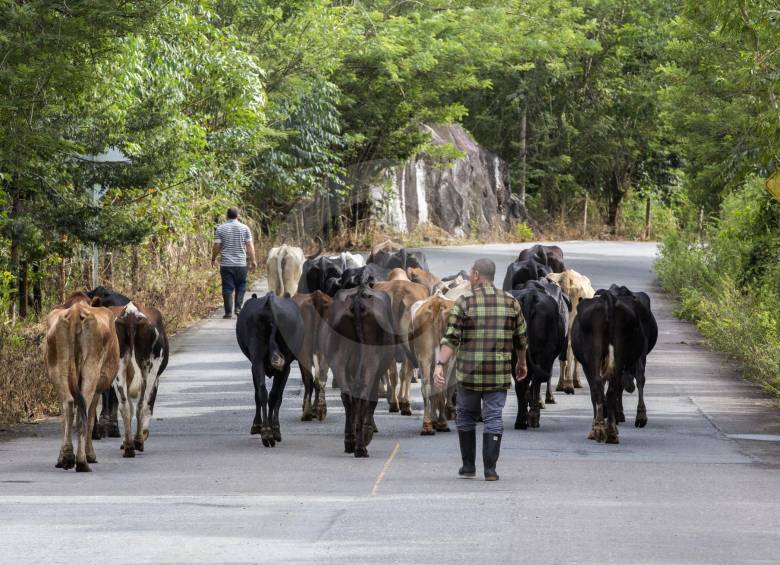 El Gobierno implementará acciones para el desarrollo rural en 170 municipios como en Amalfi (foto) que han sido afectados por la violencia. La seguridad será fundamental. FOTO Manuel Saldarriaga