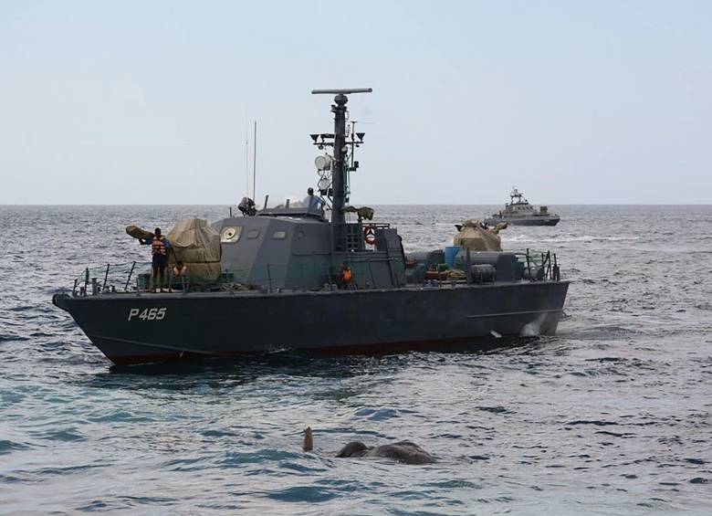 El complicado rescate de un elefante en medio del mar