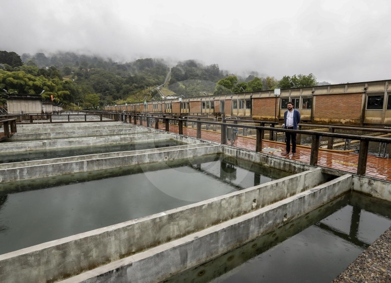 El agua en la planta de La Ayurá es sometida a un riguroso proceso de tratamiento que incluye la mezcla en tanques y en laboratorio para entregar agua potable a 480 mil hogares. FOTO Jaime pérez