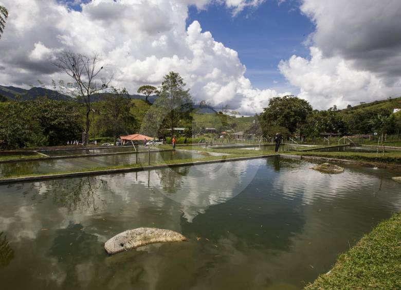 Tras las huellas de la restitución de tierras
