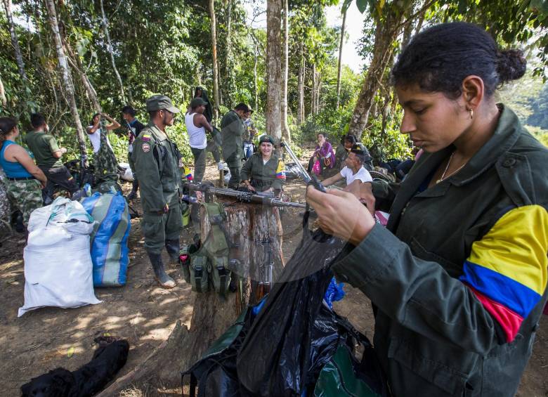 Más de 7.000 guerrilleros y 2.000 milicianos están en el tránsito a la vida civil y esperan garantías de reincorporación en lo político, lo económico y los social. FOTO Jaime Pérez Munévar