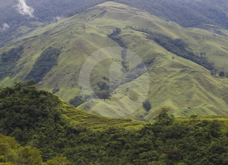 Vista aérea de la zona rural del municipio de Anorí. FOTO Jaime Pérez Munévar