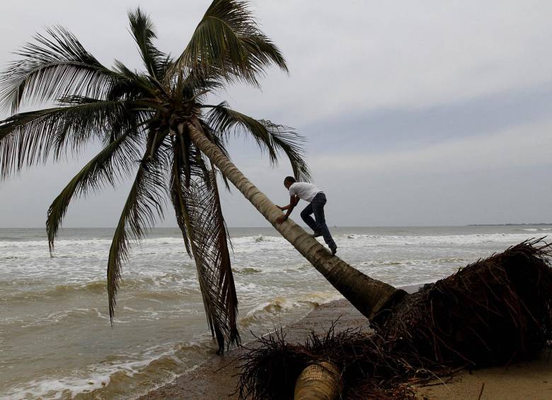 Las autoridades lanzaron alerta por los fuertes vientos que azotan la zona costera del Golfo de Urabá y restringieron los viajes de embarcaciones pequeñas y medianas. FOTO donaldo zuluaga