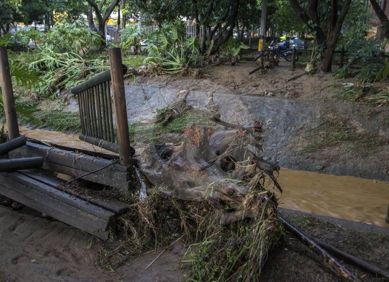 Así quedó el Parque Lineal La Presidenta después del fuerte aguacero. FOTO Róbinson sáenz