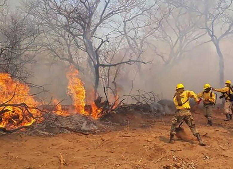 Incendios forestales arrasaron 471.000 hectáreas de bosque y cultivos en Bolivia. Foto: AFP