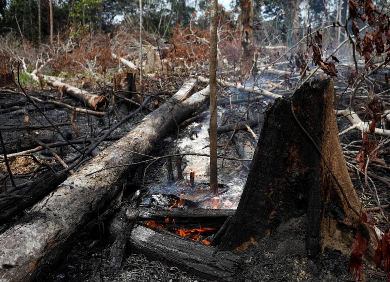 Son pocas las imágenes que realmente corresponden a la emergencia en la Amazonía, esta es una de ellas. FOTO REUTERS