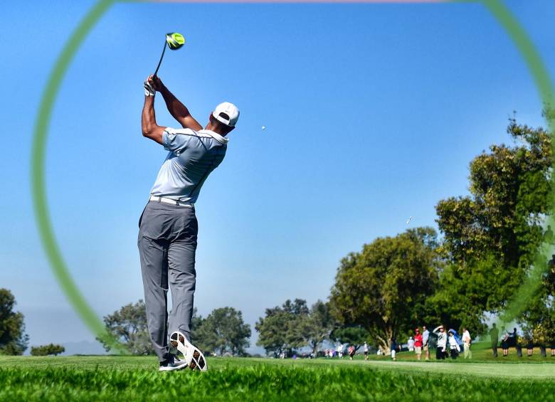 Muchos se fueron para luego volver